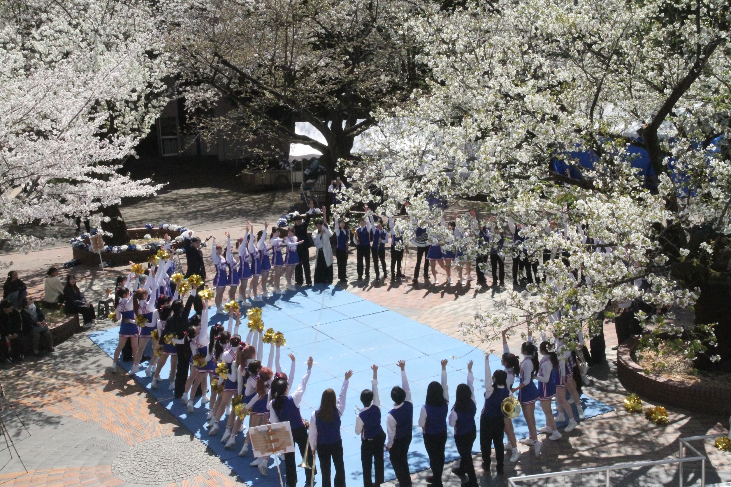 学習院大学應援團 2枚目