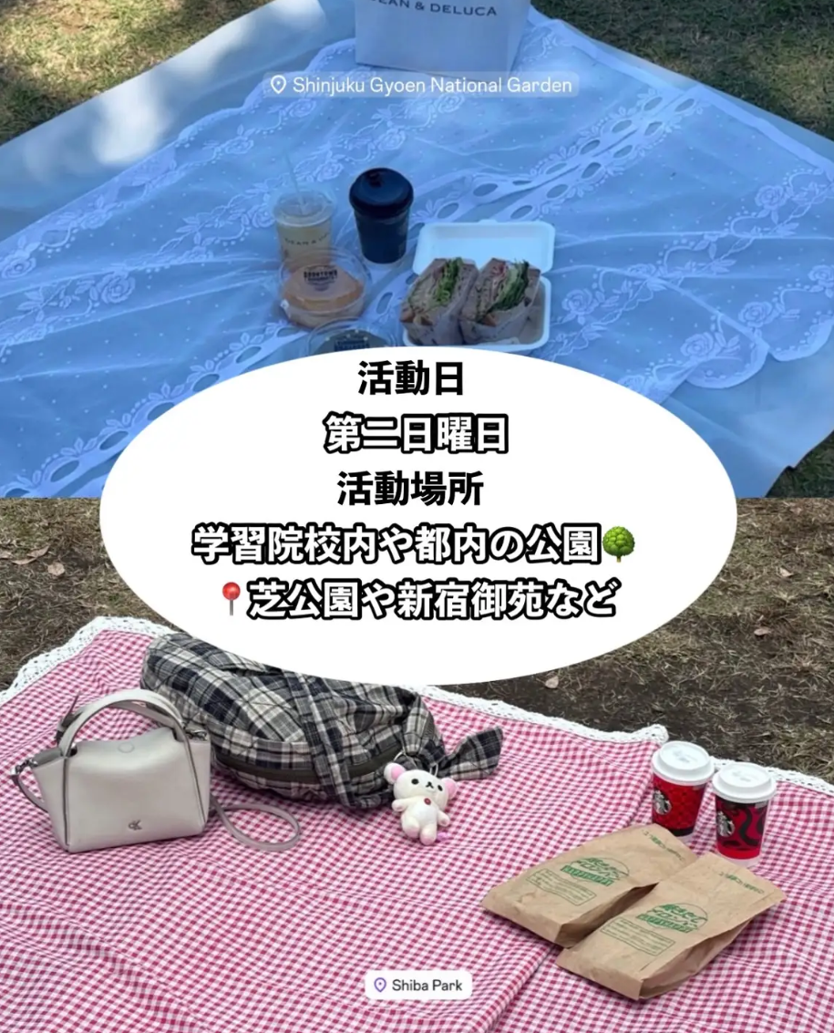 ピクニッククラブ 2枚目