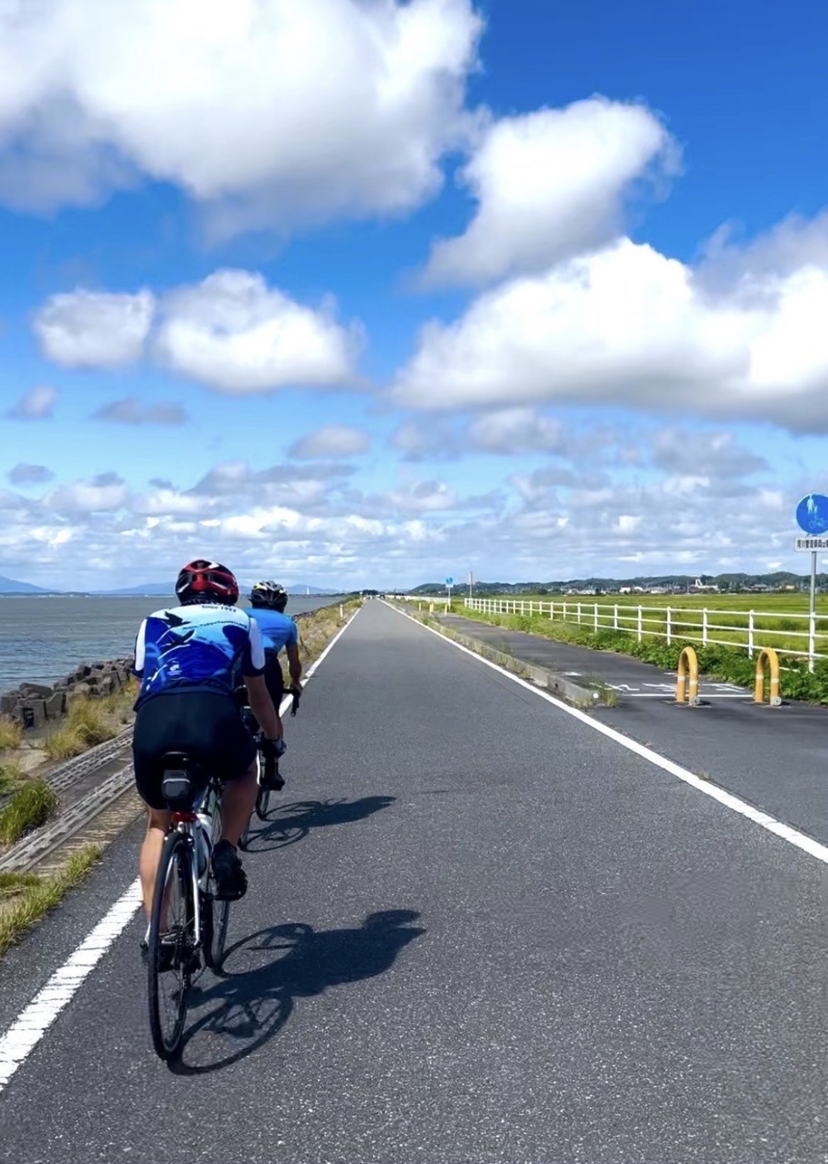 トライアスロン部