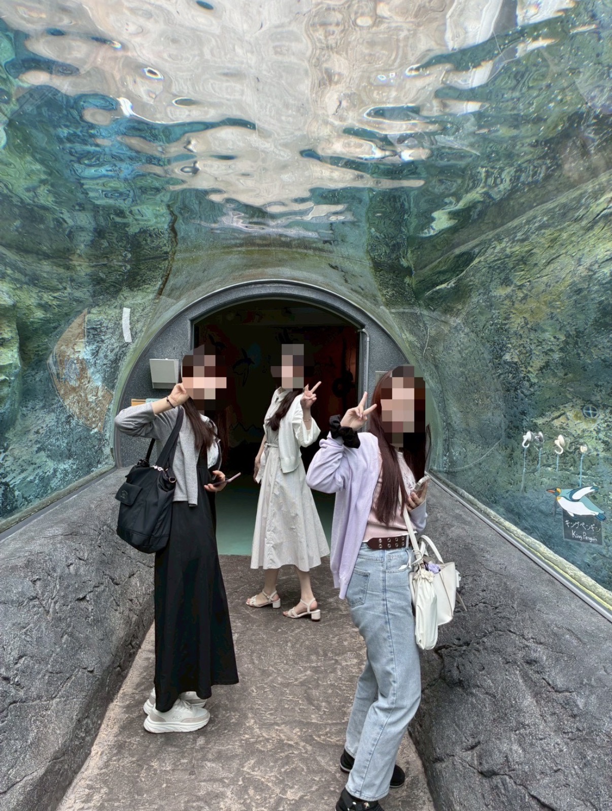 史蹟研究会 4枚目